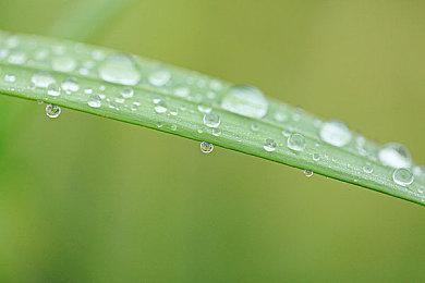 KK官方对战平台七夕甜蜜献礼！海量福利助你浪漫邂逅！​